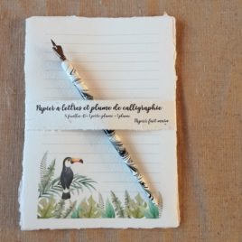 Papier à lettre tropical avec un toucan sur papier fait main