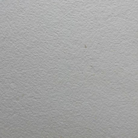 Papier-dalfa-Detail