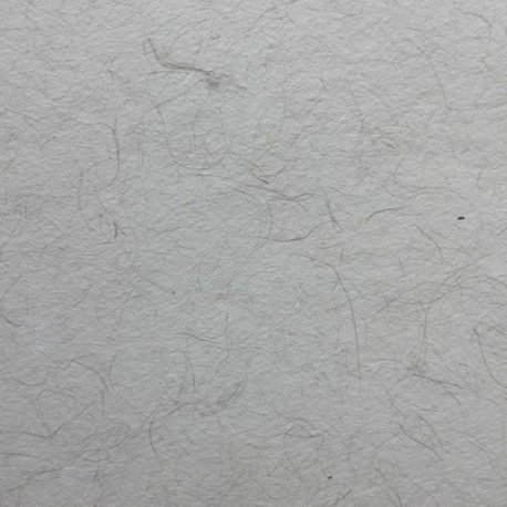 Papier-de-cocotier-Detail