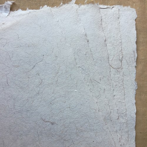 Papier de cocotier