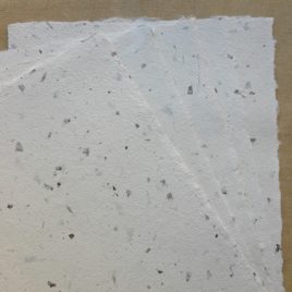 Papier de feuilles de hêtre