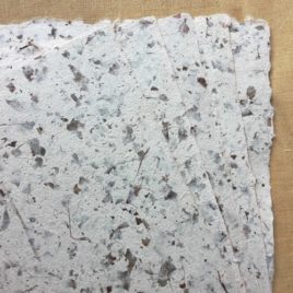 Papier-de-feuilles-de-hetre