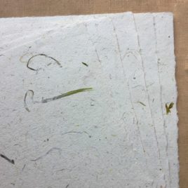 Papier-du-potager