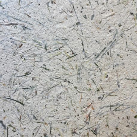 Détail Papier fait main à base d’herbes
