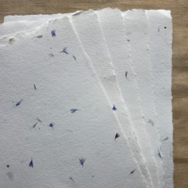 Papier avec des fleurs - Bleuets