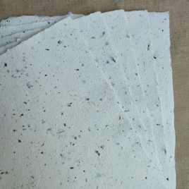 Papier avec inclusions d'algues