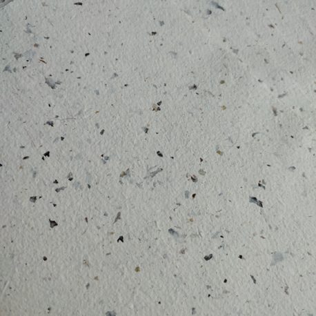 Papier avec inclusions d’algues – Détail