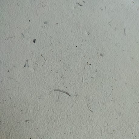 Papier avec quelques inclusions d’herbe – Détail