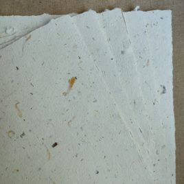 Papier d'algues et de fleurs