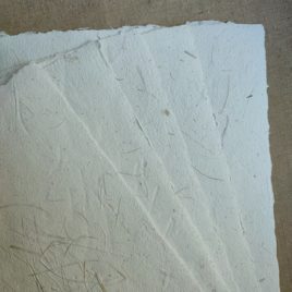 Papier de houblon