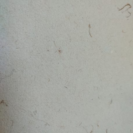Papier de kozo beige – Détail