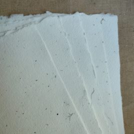 Papier de morta et lichens