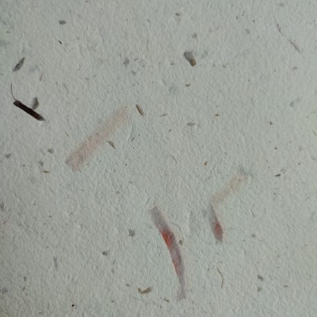 Papier de pailles et raphia – Détail