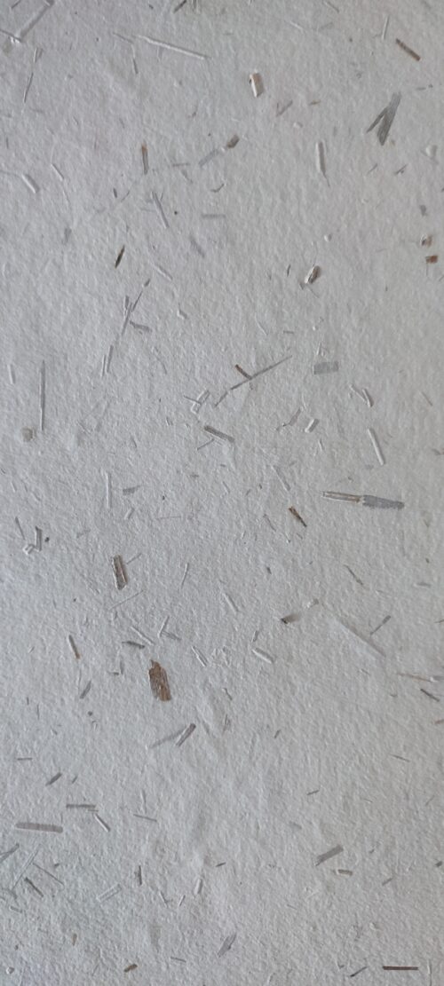 Papier de roseaux – Image 2