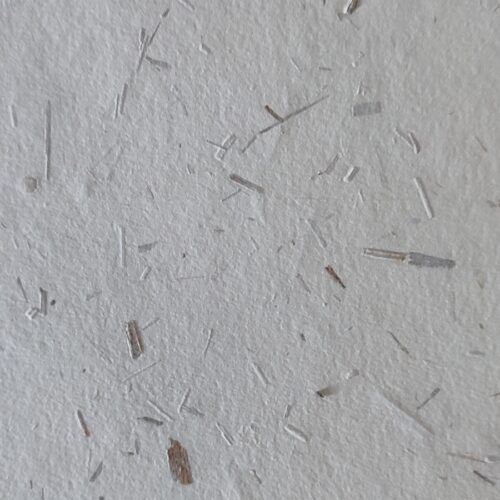 Papier de roseaux