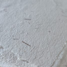 Papier de roseaux