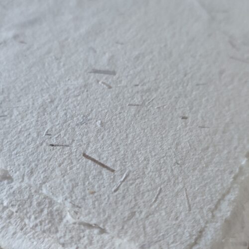 Papier de roseaux