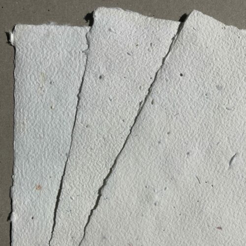 Papier Graines