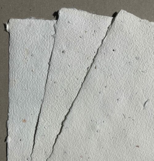 Papier Graines