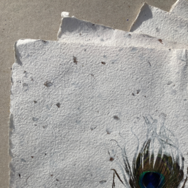 Papier chanvre inclusions plumes de paon