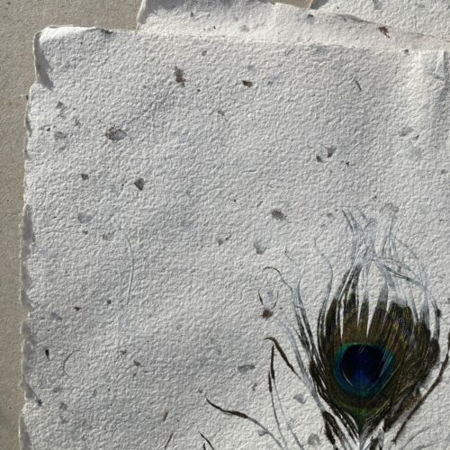 Papier chanvre inclusions plumes de paon