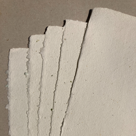 Papier du jardin