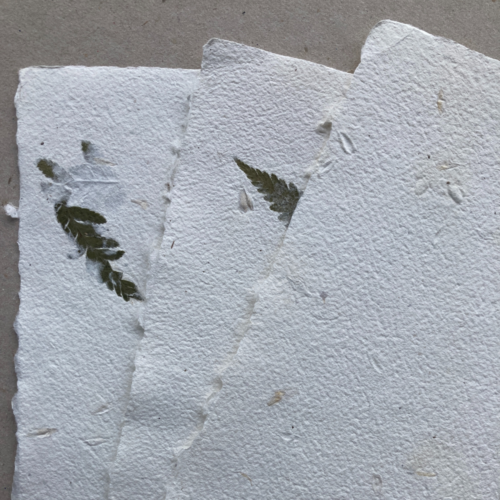 Papier inclusions fougère et feuilles