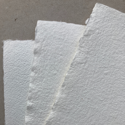 Papier de résineux pour impressions