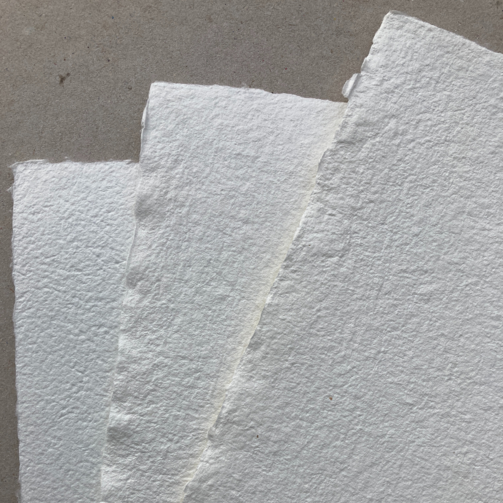 Papier buvard - lot de 5