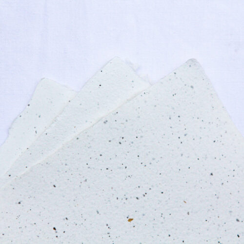 Assortiment de 10 feuilles à inclusions – Image 6