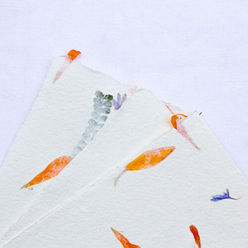 Assortiment de 10 feuilles à inclusions