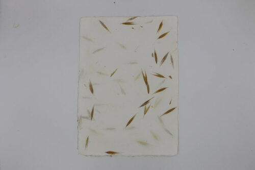 Papier Folleavoine – Image 4