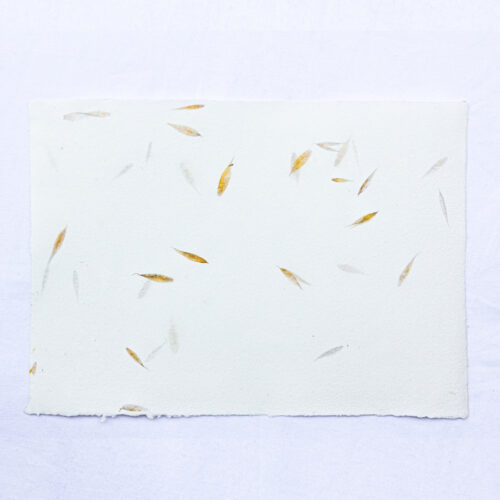 Papier Folleavoine – Image 3