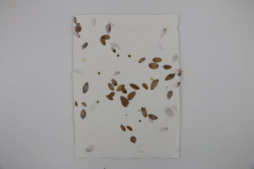 Papier Houblon – Image 4