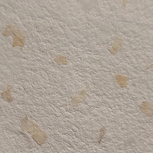Assortiment de 10 feuilles à inclusions – Image 8