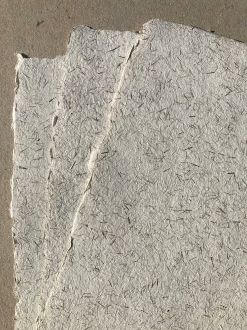 Papier chanvre inclusion lin