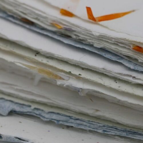 Assortiment de 10 feuilles à inclusions
