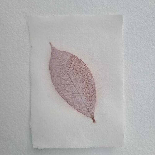 Papier « Feuille »