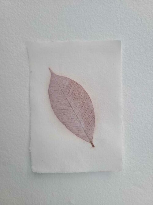 Papier "Feuille" – Image 2