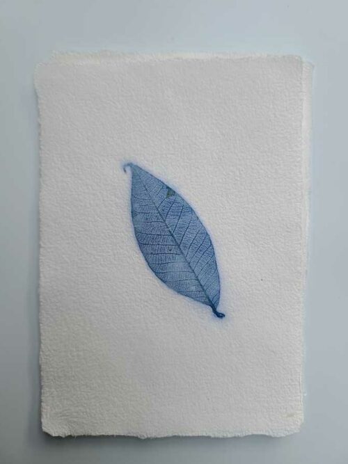 Papier "Feuille" – Image 10