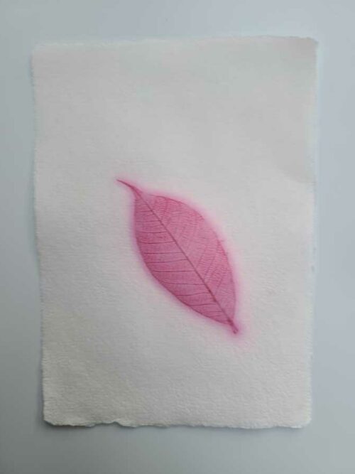 Papier "Feuille" – Image 11
