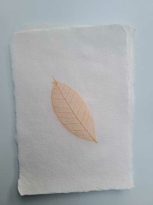 Papier "Feuille" – Image 12