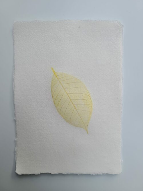 Papier "Feuille" – Image 13