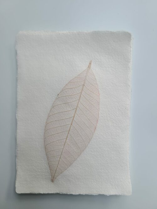 Papier "Feuille" – Image 14