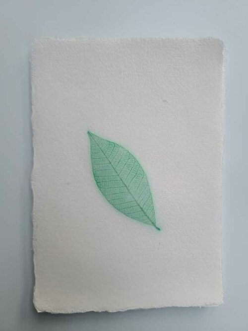 Papier "Feuille" – Image 16