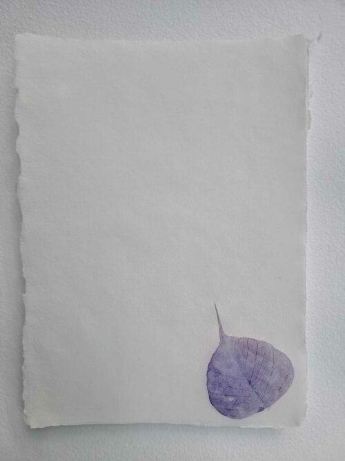 Papier "Feuille" – Image 5