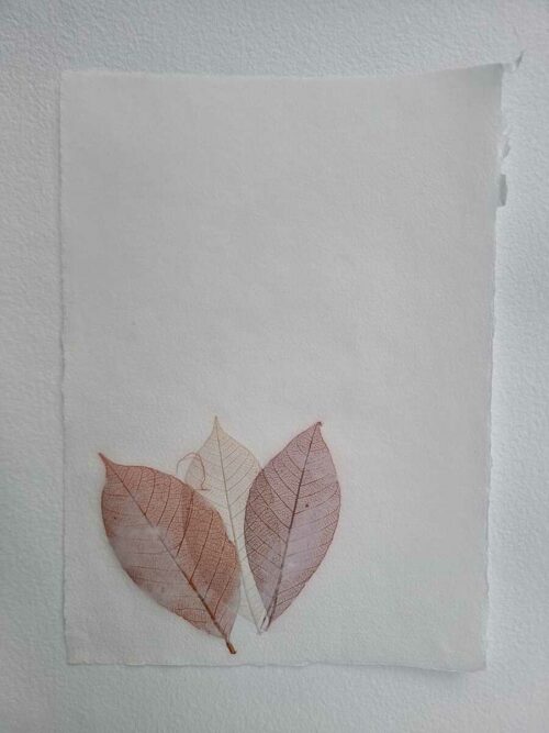 Papier "Feuille" – Image 6