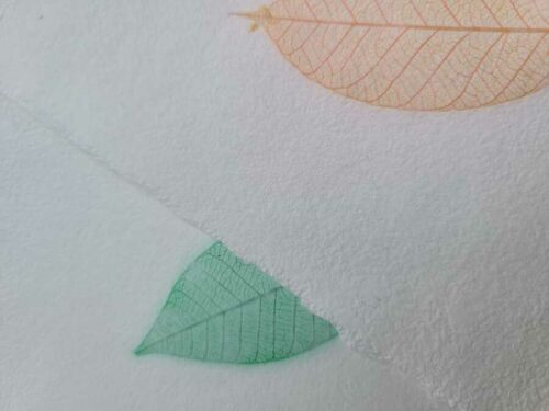 Papier "Feuille" – Image 7