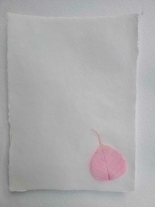 Papier "Feuille" – Image 8