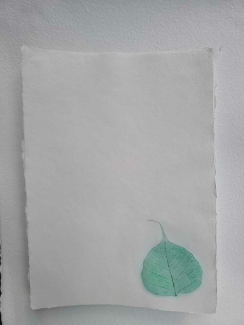 Papier "Feuille" – Image 9